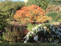 Queens Botanical Garden in Flushing Queens NYC