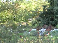 Queens Botanical Garden in Flushing Queens NYC
