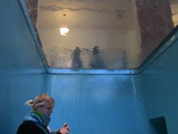 Leandro Erlich at PS1 in Long Island City LIC Queens NYC modern art event