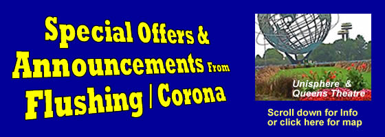 Corona / Flushing Shops & Shopping