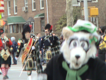 St Pat's Day Parade Sunnyside Woodside Queens