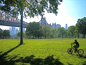 Queensbridge park long island city queens ny