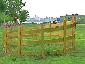 State Fair Art Exhibit Socrates Sculpture Park Long Island City Queens