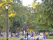 King Park Jamaica Queens