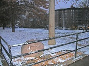 Doughboy Park Woodside Queens