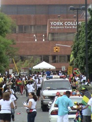 York College Jamaica Queens
