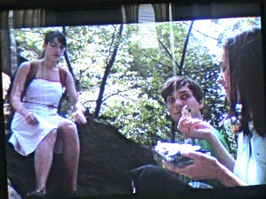 picnic songs indie film sunnyside ny