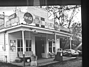 Sunnyside Shorts Film Festival 2009