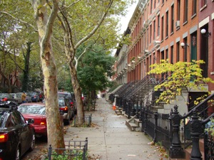Queens Real Estate Queens Realtors