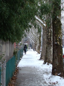 BTW QueensBuzz.com