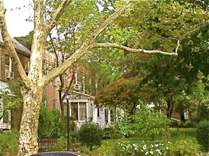 Sunnyside Gardens 