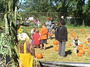 sunnyside gardens park events