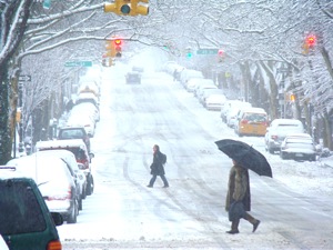snowstorm weather queens february 10 2010