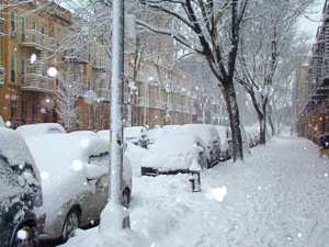 snowstorm in queens 2010