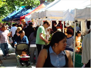 farmers markets queens