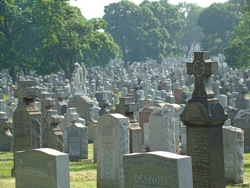 calvary cemetary in queens
