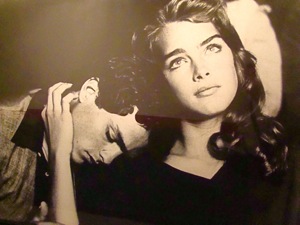 brooke shields in endless love