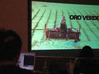 oro verde cinema en queens