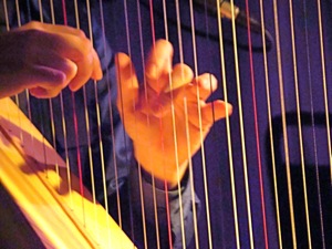 irish harp new york irish center
