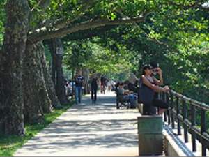 parks in queens