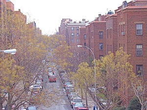 insurance in jackson heights