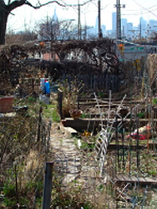community gardens in queens