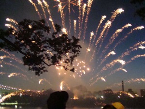 astoria park fireworks photos