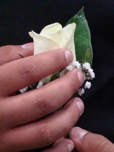 florists in astoria lic long island city