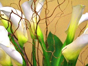florists in astoria lic long island city sunnyside woodside flushing jackson heights corona jamaica queens