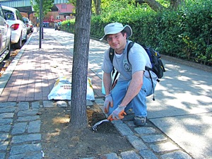 sam barry of trees ny oxygenating soil nyc
