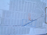 tree maps in queens