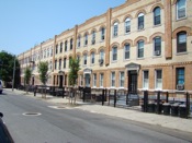 tree less street in queens