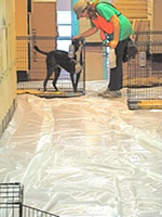 evacuation centers in queens