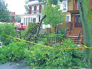 hurricane irene photos queens