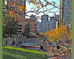 things to do queens ny