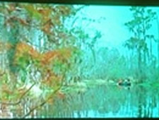 terrebone film festivals in queens
