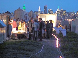 brooklyn grange