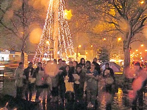 tree lightings in queens 2011