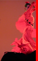 american bolero dance company lic astoria