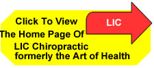 chiropractors in lic long island city