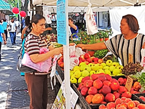 farmers markets in jamaica ny queens