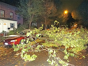 hurricane chaser in queens