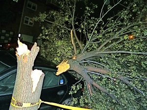 hurricane sandy in queens