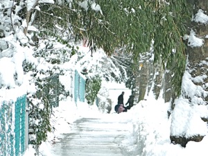 sunnyside photos