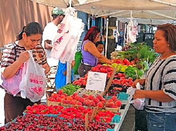 farmers markets in lic long island city farmers markets