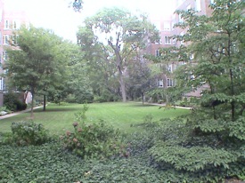 jackson heights real estate
