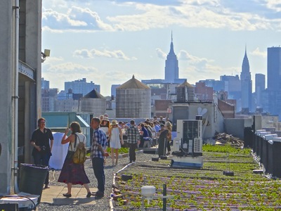 things to do queens