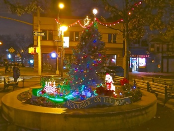 tree lightings astoria queens