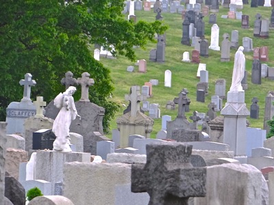 photos first calvary cemetery maspeth queens