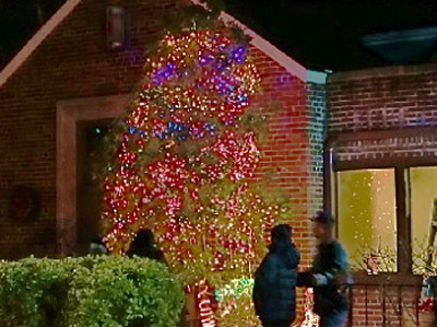 holiday christmas tree lighting sunnyside queens